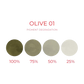 Pigment degradation of Cheyenne Artyst Pigment Olive